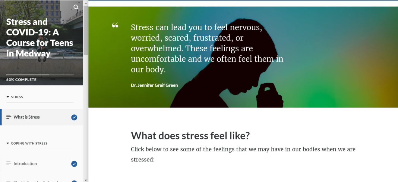 Medway Public Schools partnered with Dr. Jennifer Greif Green of the Boston University Wheelock College of Education & Human Development to develop an online COVID-19 stress and anxiety educational course for students. (Photo courtesy Medway Public Schools)