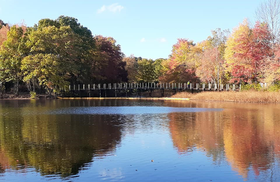 One article on the November warrant will ask for funds to “refresh” Mill Pond Park near the new pedestrian Riverwalk bridge. (Photo/Cynthia Whitty)